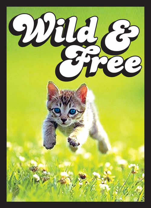 Wild & Free Kitty Cat Sleeves